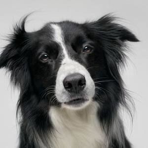 Meet your Posher, Ava